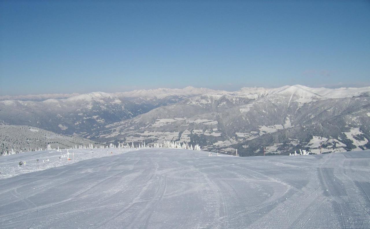 Apartment Wald - Im Skigebiet Gerlitzen & Ossiacher See ボーデンスドルフ エクステリア 写真