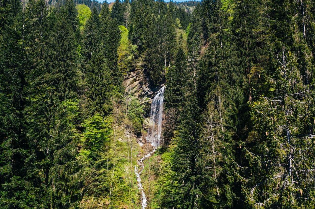 Apartment Wald - Im Skigebiet Gerlitzen & Ossiacher See ボーデンスドルフ エクステリア 写真